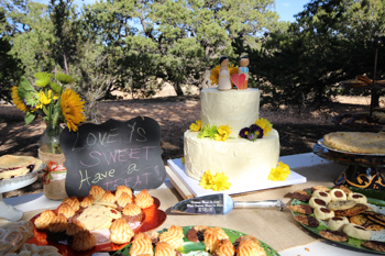 North_Rim_Grand_Canyon_Weddings-5